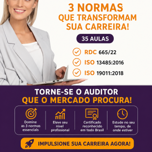AUDITOR INTERNO 3 NORMAS - 1