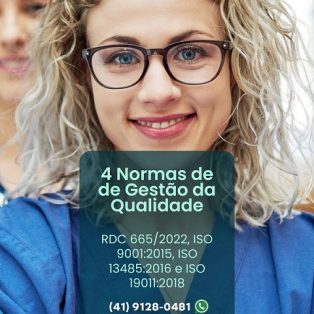 AUDITOR INTERNO 4 NORMAS