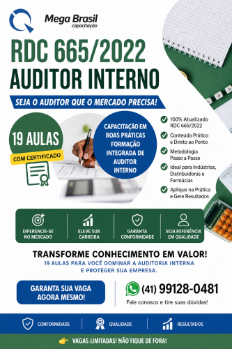 AUDITOR INTERNO RDC 665-22