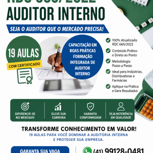AUDITOR INTERNO RDC 665-22
