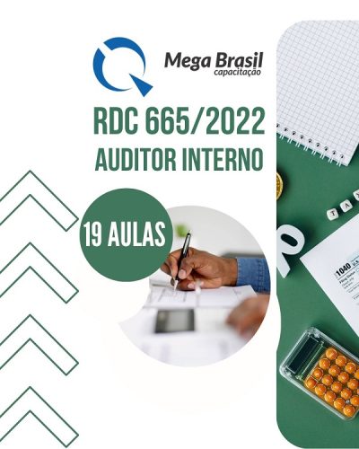 AUDITOR INTERNO RDC 665 - 600