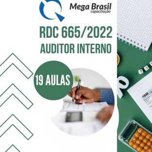AUDITOR INTERNO RDC 665 - 600