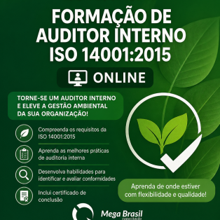 aUDITOR INTERNO - ISO 14001 2015